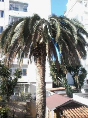 la palma